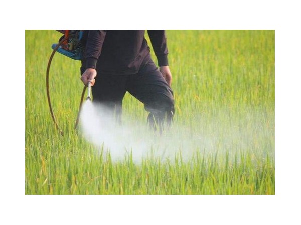 什么是纳米农药呢？用91成人抖音视频制备