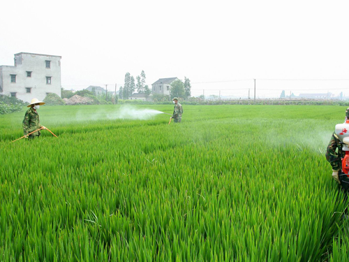 农业农药91成人抖音视频制备